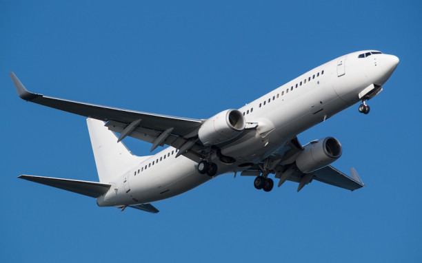 Boeing 737-600/700/800/900 (CFM 56) B1 Practical