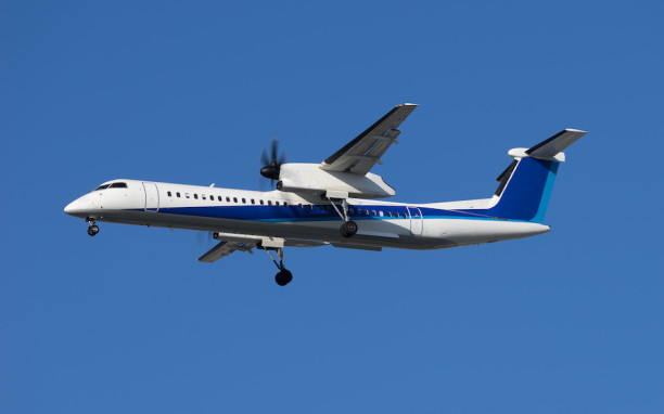 Bombardier DHC-8 100/200/300 (PWC PW120) B2 Practical